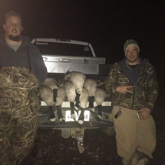 Meet your Posher, Robert - Picture 1 of 1